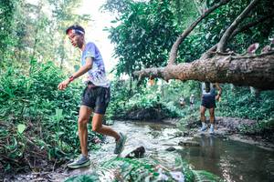 BIB: 
                            <button type="button" onclick="openModal(25430867)" class="btn btn-primary btn-sm float-right btn-popup" data-toggle="modal" data-target=".modal-high-quality">
                        <i class="fas fa-shopping-cart"></i> Add to Cart
                    </button>
                                            <button type="button" onclick="isThisMe(25430867, true)" class="btn btn-success btn-sm float-right btn-popup btn-isme hidden" data-toggle="tooltip" data-placement="bottom" title="นี่คือรูปของคุณใช่ไหม คลิกที่นี่เพื่อเอาเข้าอัลบั้ม">
                        <i class="fas fa-plus"></i> Add to album
                    </button>
                    <button type="button" onclick="isThisMe(25430867, false)" class="btn btn-warning btn-sm float-right btn-popup btn-isnotme hidden">
                        <i class="fas fa-ban"></i> Remove from album
                    </button>